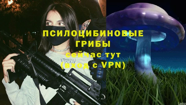 каннабис Абаза