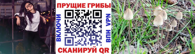 Галлюциногенные грибы Magic Shrooms  Среднеколымск 